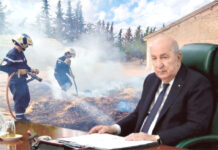Protection civile – Tebboune ordonne une augmentation des salaires