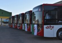 Transport public – De nouveaux bus renforcent le parc de Mohammadia