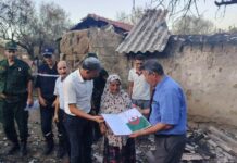 Des flammes à la reconstruction – Tebboune mobilise toutes les forces de l’État