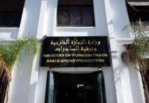 Importation – Des dossiers suspects détectés sur la plateforme
