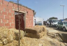 Skikda – Début des opérations de rénovation des maisons sinistrées