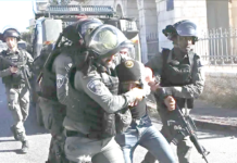 Cisjordanie occupée – 11 Palestiniens arrêtés par les forces sionistes à Ramallah