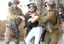 Cisjordanie occupée – 12 Palestiniens arrêtés par les forces sionistes