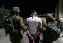 Cisjordanie occupée – Une vingtaine de Palestiniens arrêtés par les forces sionistes