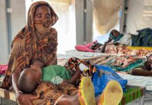 Yémen – Choléra et dengue font 59 morts parmi les déplacés