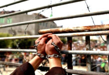 Palestine – 92 morts parmi les prisonniers détenus dans les geôles israéliennes