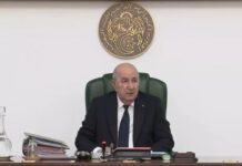 Peine de mort, éducation, incendies, projets structurants… :Voici les principales décisions du président Tebboune