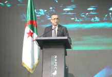 Mourad Adjal – « L’Algérie dispose d’atouts compétitifs uniques dans l’hydrogène vert »