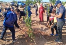 Sous le slogan « Ensemble, reconquérons nos forêts » – Oran lance une vaste campagne de reboisement avec 93 000 plants