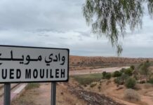 Barrage de Hammam Boughrara – Le chiffre qui relance l’alerte sur Oued Mouilah