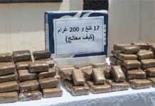 Criminalité transfrontalière – 17,2 kg de cannabis saisis et un réseau démantelé