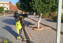 Cadre de vie – La collecte des déchets au centre du suivi dans les communes
