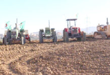 Sidi Bel-Abbès – Coup d’envoi de la campagne labours-semailles 2026-2027