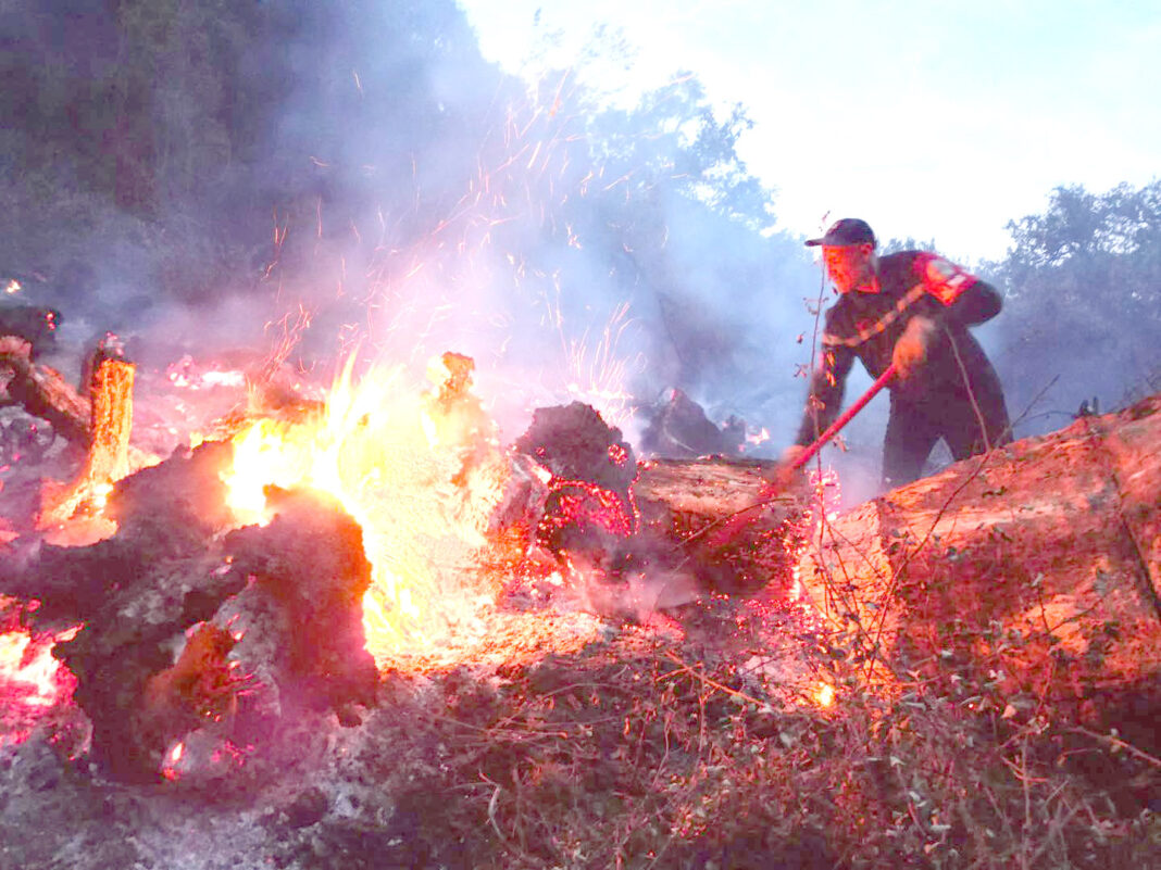 08 Incendies de forêts