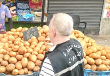 Pomme de terre – Le gouvernement plafonne les prix à 90 DA