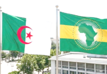 Presse africaine :« L’expertise algérienne au service de l’Afrique »