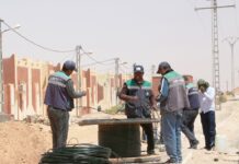 Fibre optique – L’Algérie atteint le seuil des 4 millions de foyers raccordés