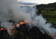 Amazonie – La pollution de l’air contraint les écoles de Manaus à fermer