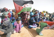 L’ONU réaffirme le droit à l’autodétermination – Jour historique pour le Sahara occidental indépendant