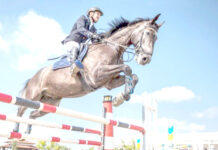 Équitation – Le Grand concours national de saut d’obstacles se poursuit à Tipasa
