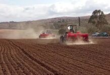 Guelma – Semailles 2026-2027, objectif 89.500 ha de céréales