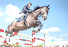 Saut d’obstacles – Tipasa accueille le Grand concours national