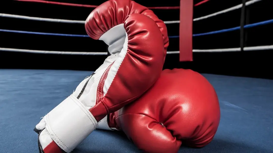 14 Les pugilistes algériens récoltent dix médailles