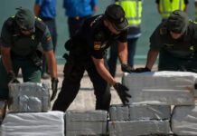 Narcotrafic en Espagne – Un réseau démantelé, son chef retranché au Maroc