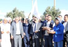 Lancement de la campagne des labours-semailles – Le wali donne le coup d’envoi à Oued Tlélat
