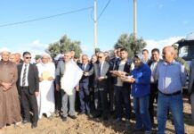 Saison agricole 2026-2027 à Oran – 24 000 hectares au programme des labours-semailles